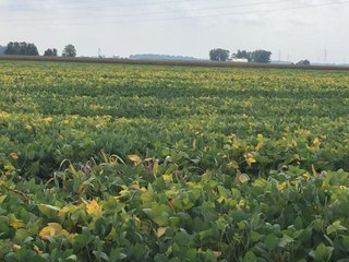 Property photo 18 - PRIME LAND AUCTION - 244+/- ACRES OFFERED IN 4 TRACTS IN UNION CO., IN & PREBLE CO., OH